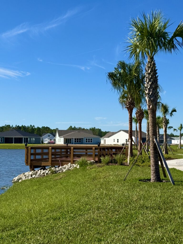 Lakeside wooden dock with palm trees